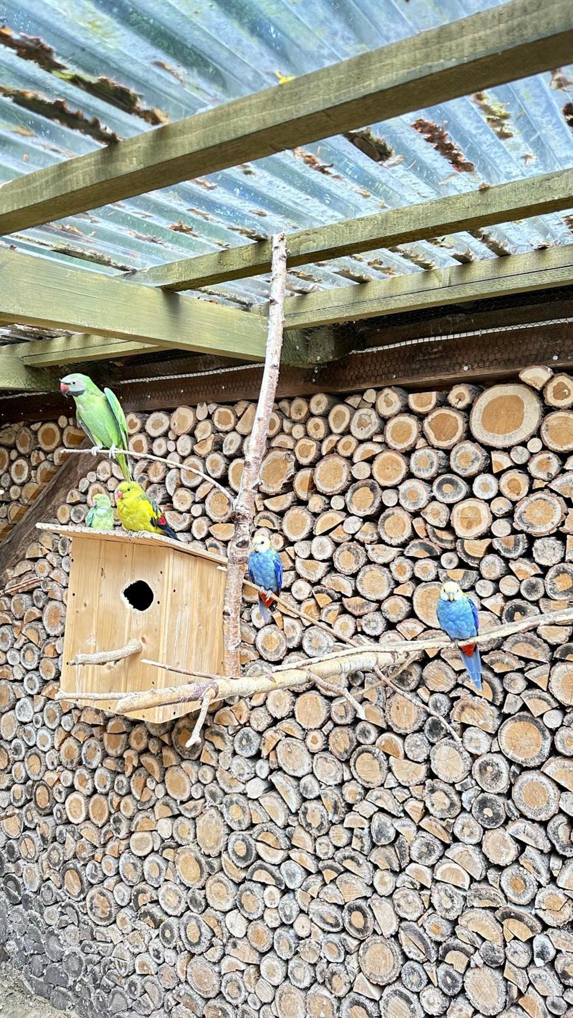 Willa Orle Gniazdo Biala Woda Exteriör bild
